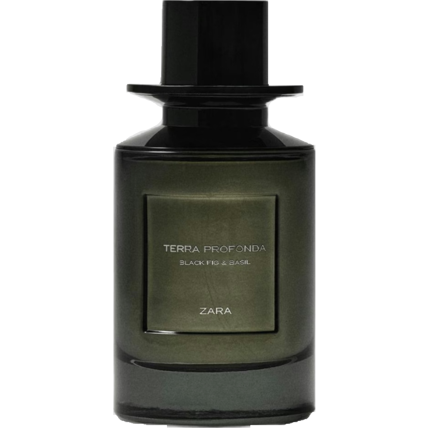 Terra Profonda by Zara