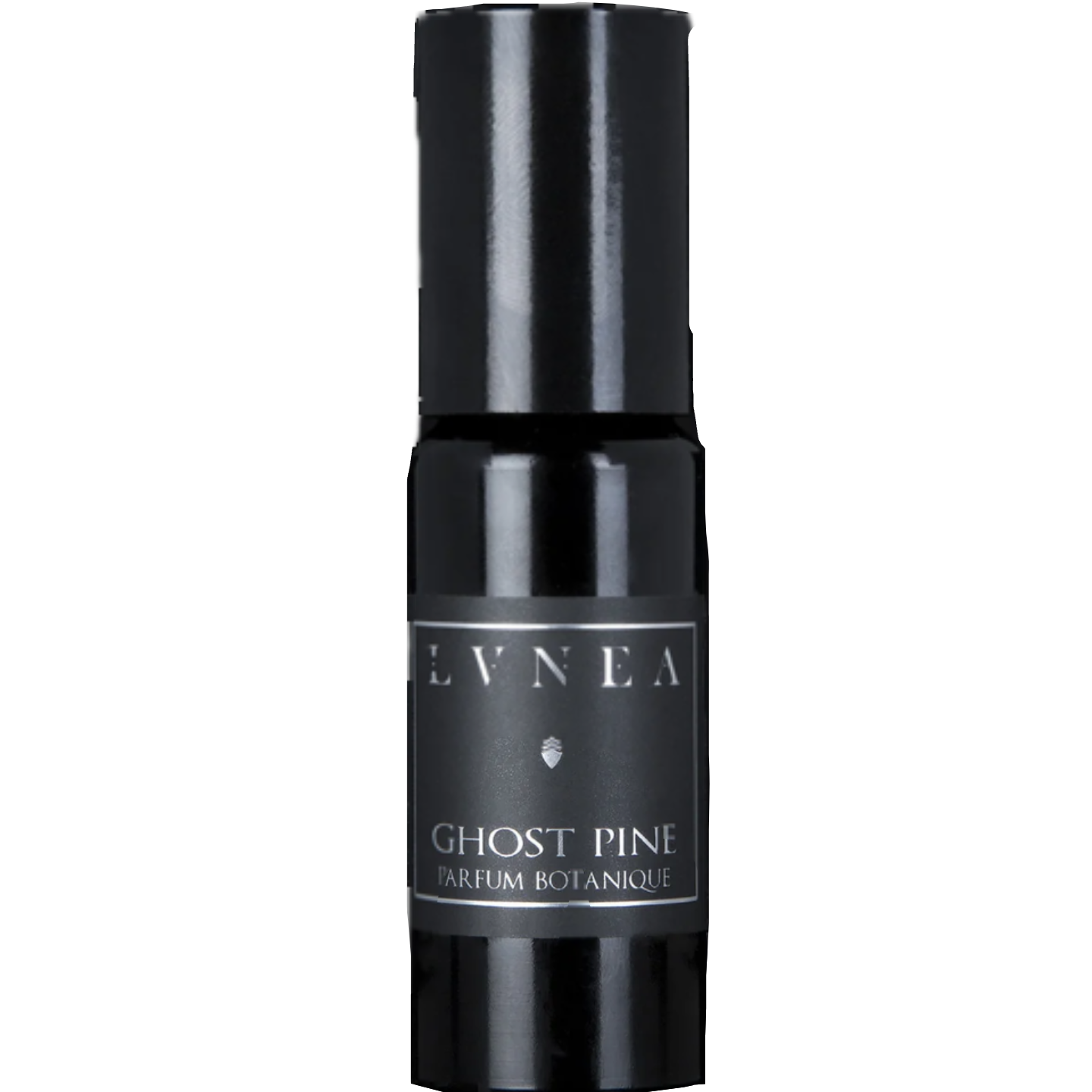 Ghost Pine by LVNEA