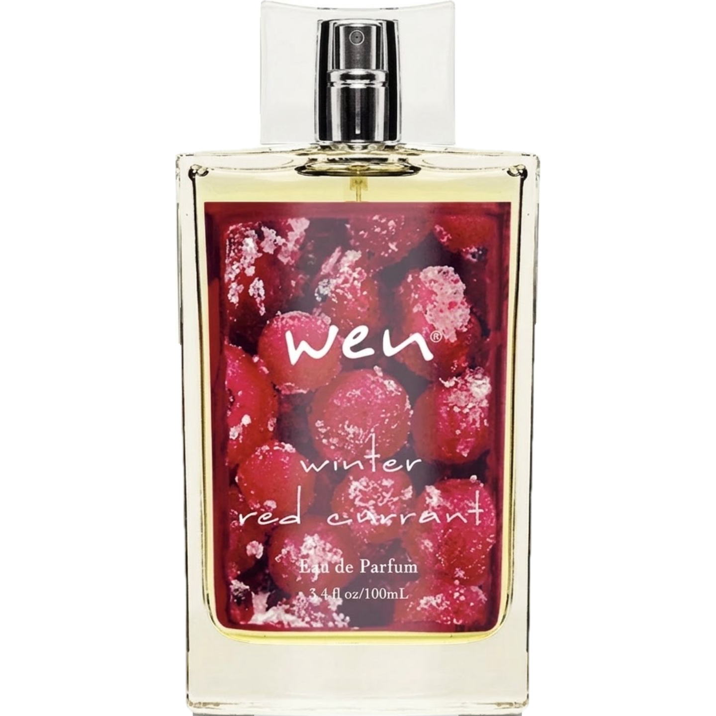 Winter Red Currant by Wen