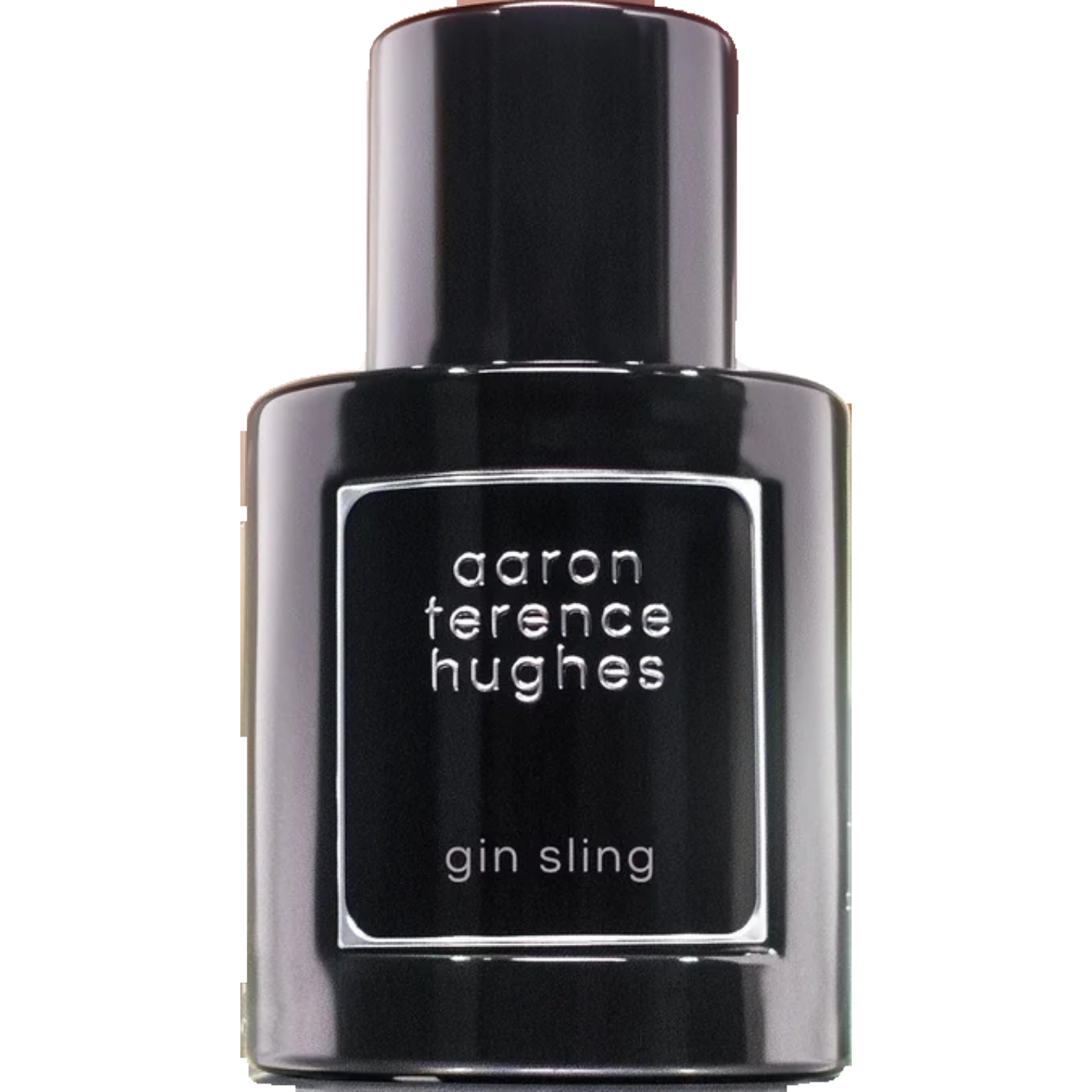 Gin Sling by Aaron Terence Hughes