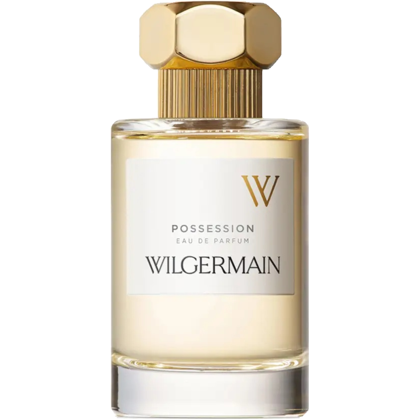 Possession by Wilgermain