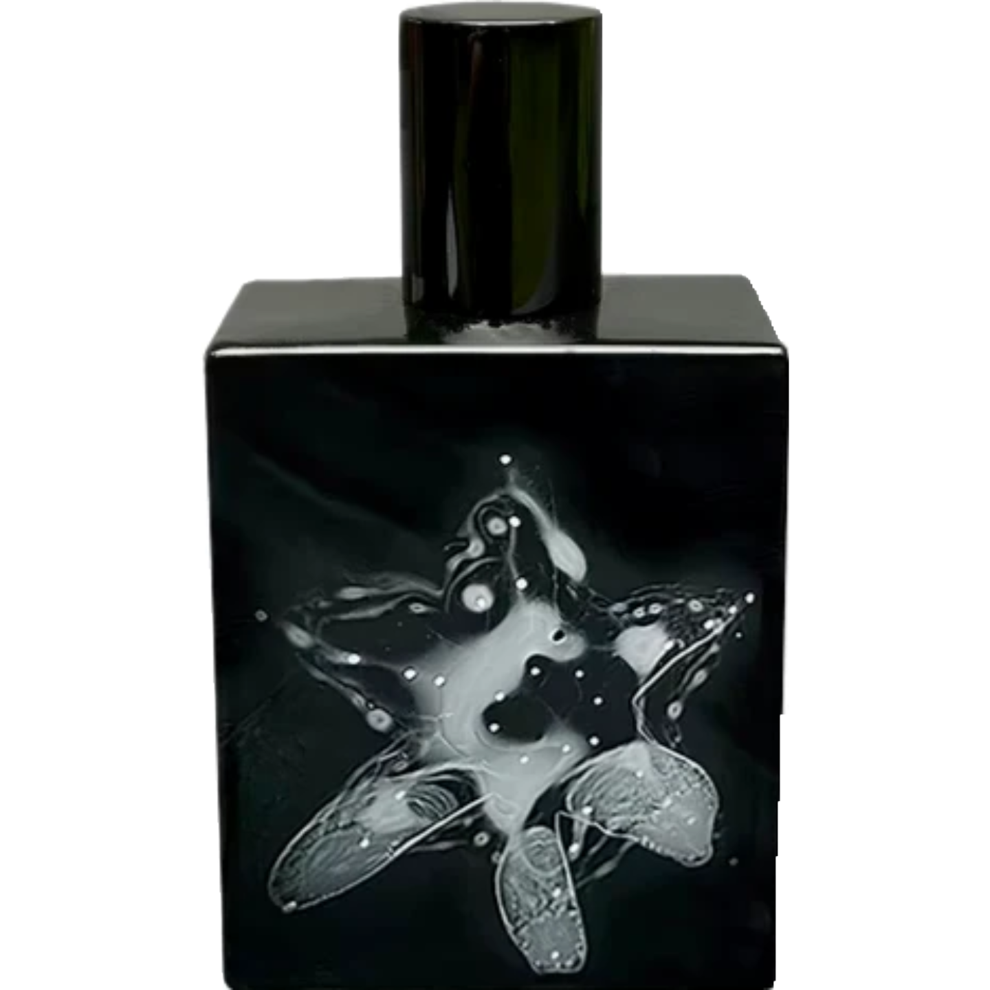 Narcis Nocturne by Space Fluid