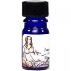 Divine Clockwork by Possets Perfume