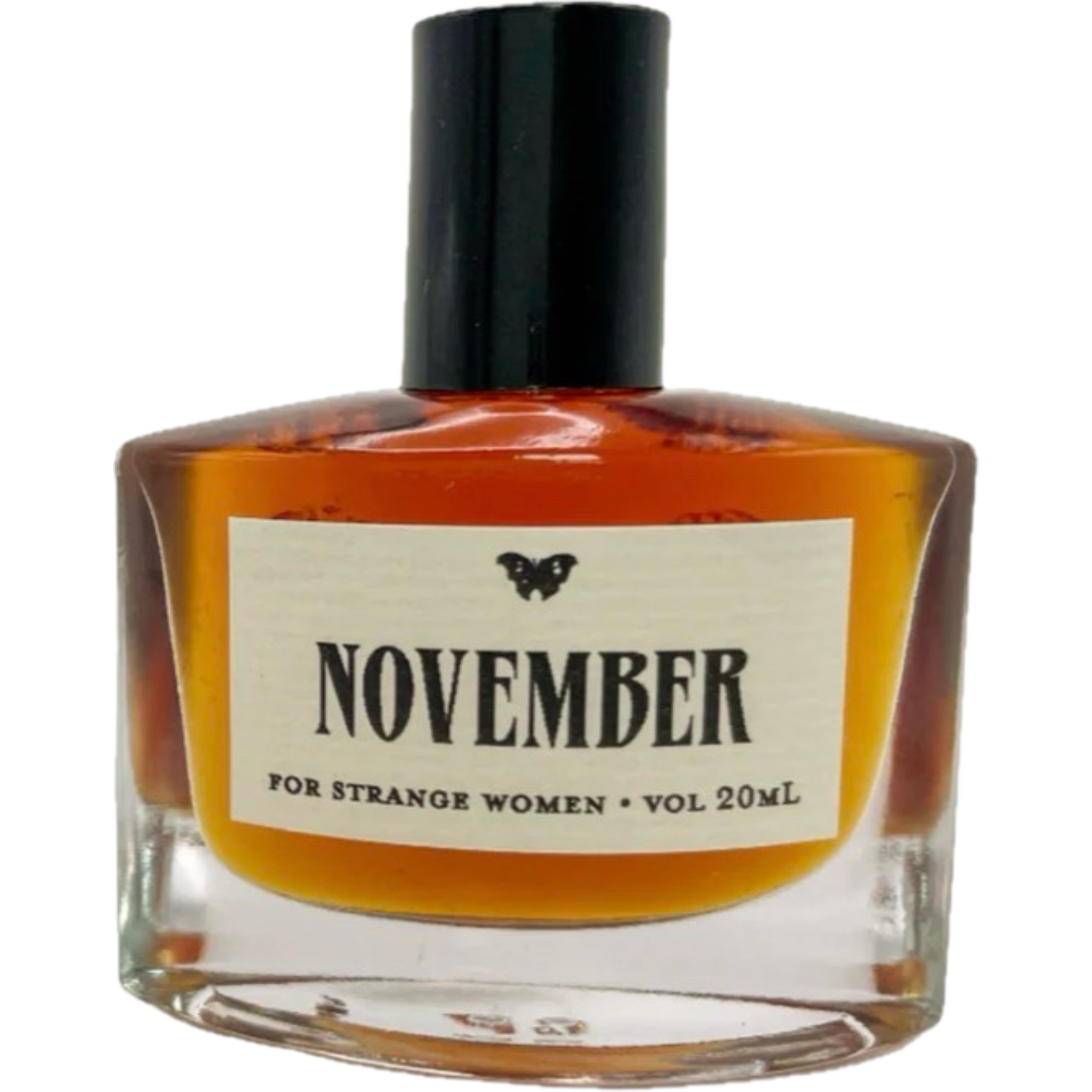November in the Temperate Deciduous Forest by For Strange Women