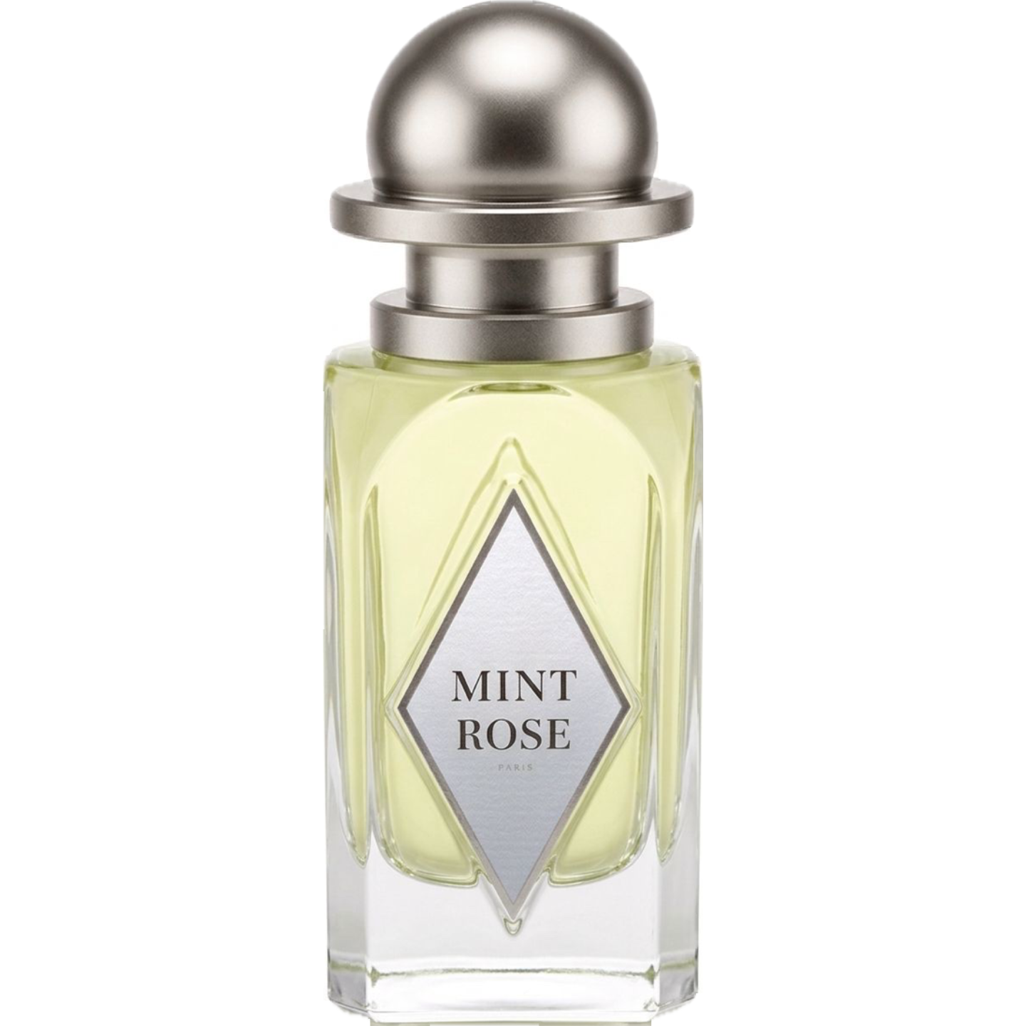 Mint Rose by OrDioLab
