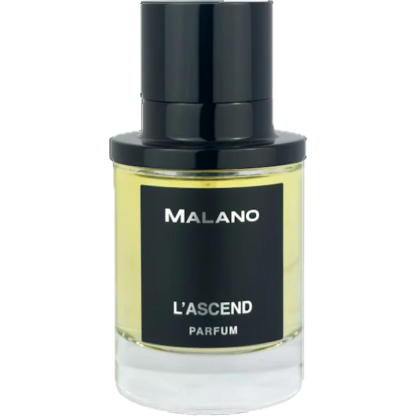 L'Ascend by Malano
