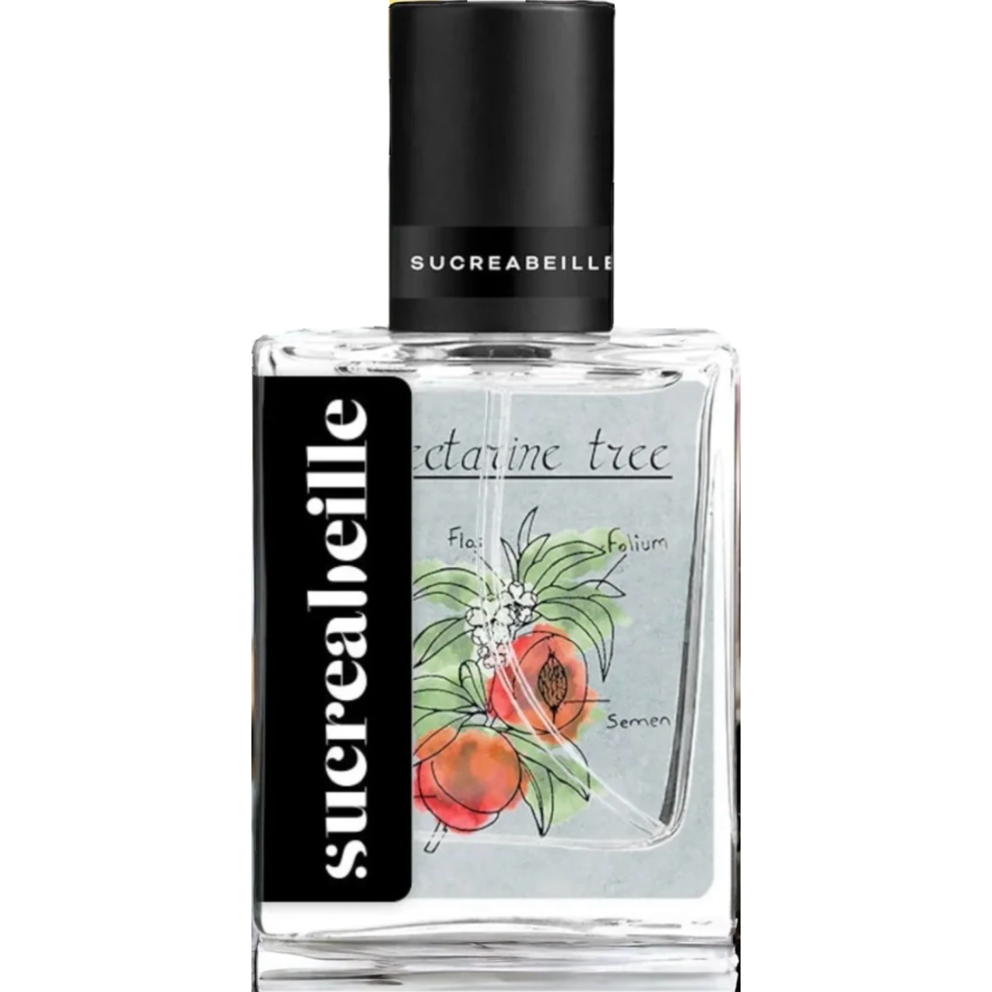 Nectarine Tree by Sucreabeille