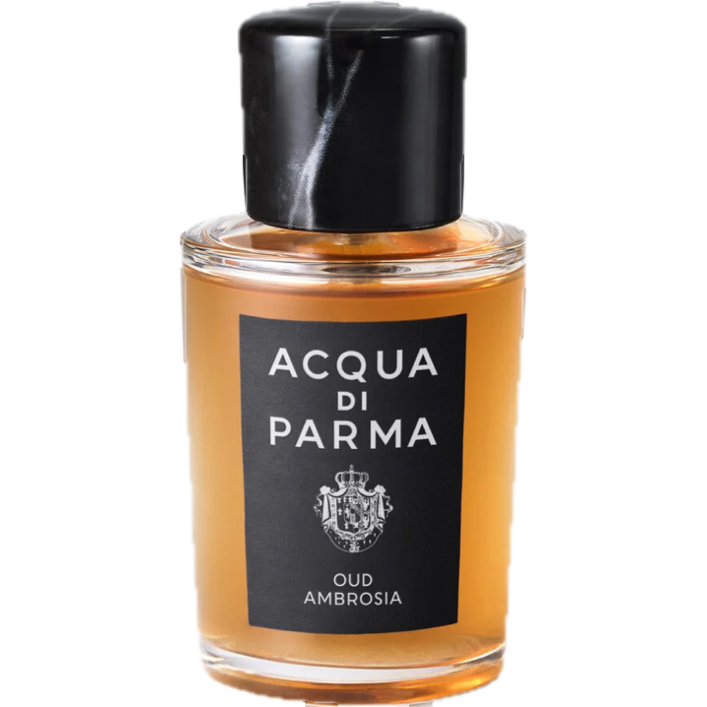 Oud Ambrosia by Acqua di Parma