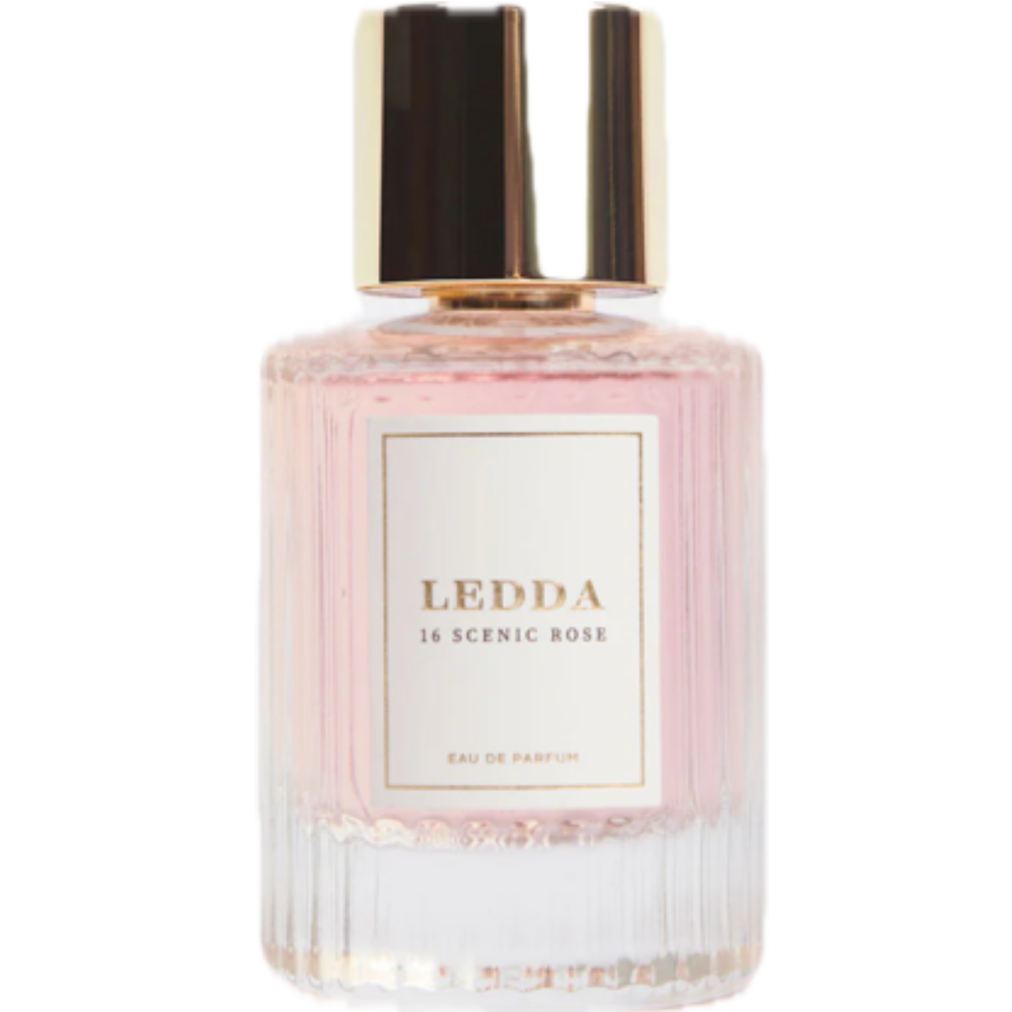 16 Scenic Rose by Ledda