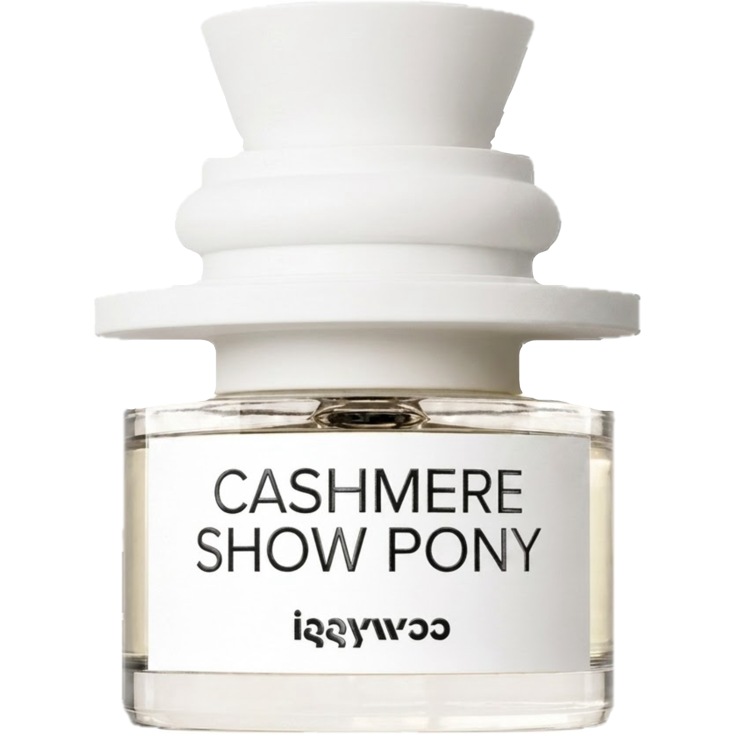 Cashmere Show Pony by Iggywoo