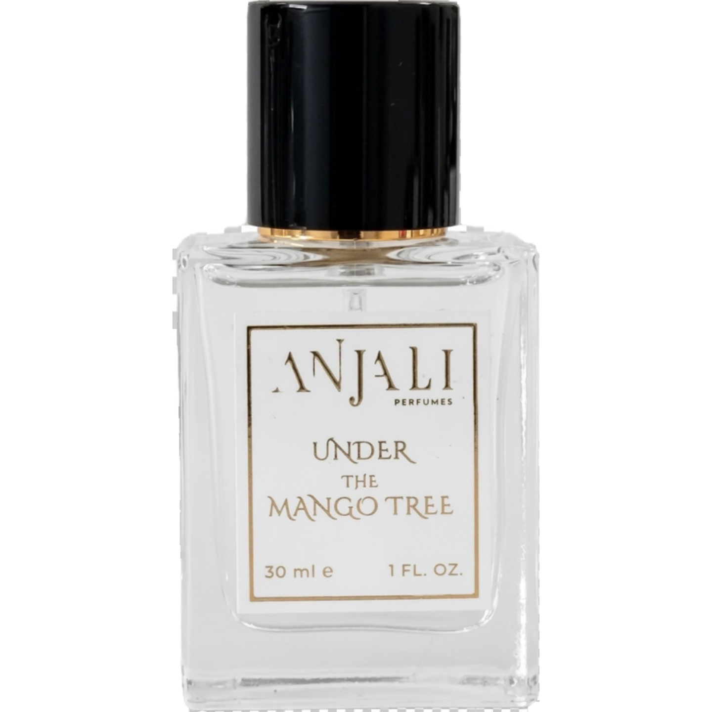 Under the Mango Tree by Anjali Perfumes
