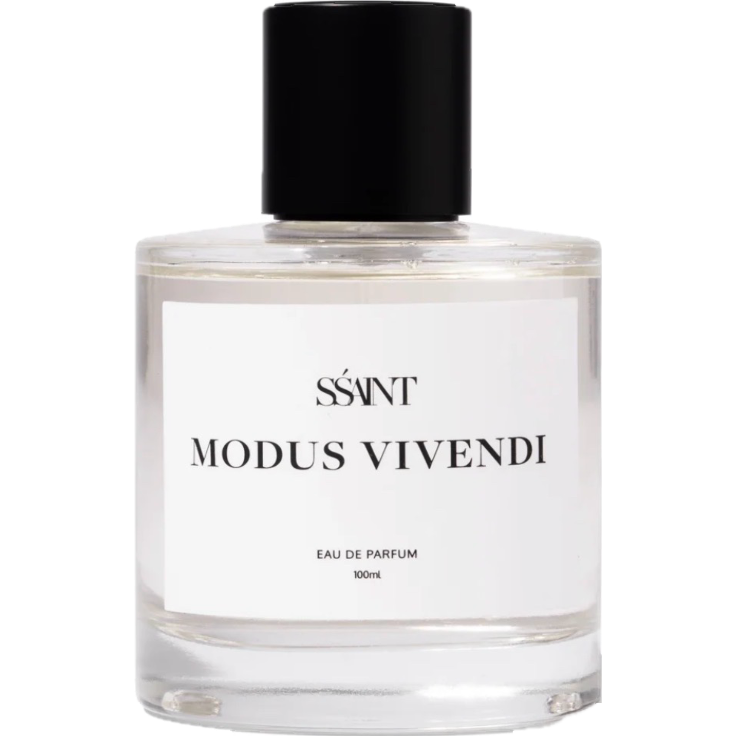 Modus Vivendi by SŚAINT