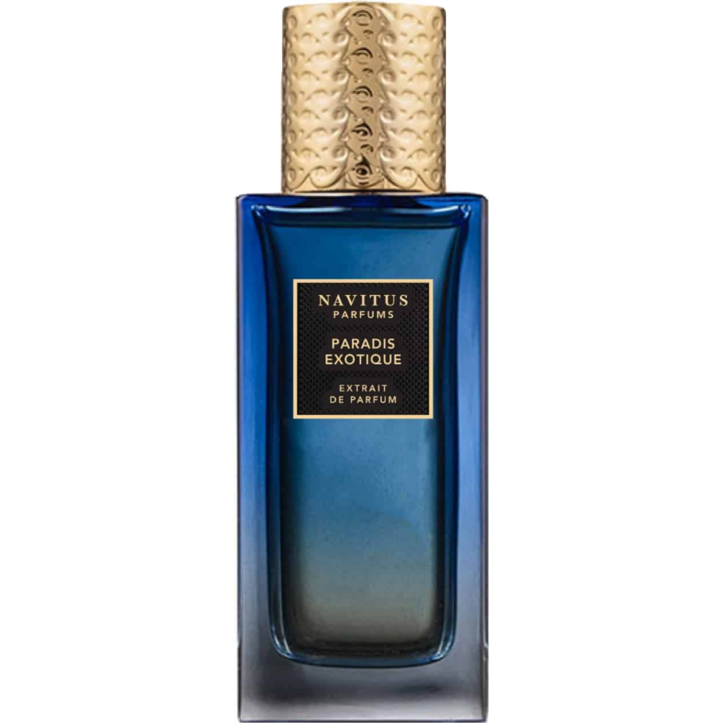 Paradis Exotique by Navitus Parfums
