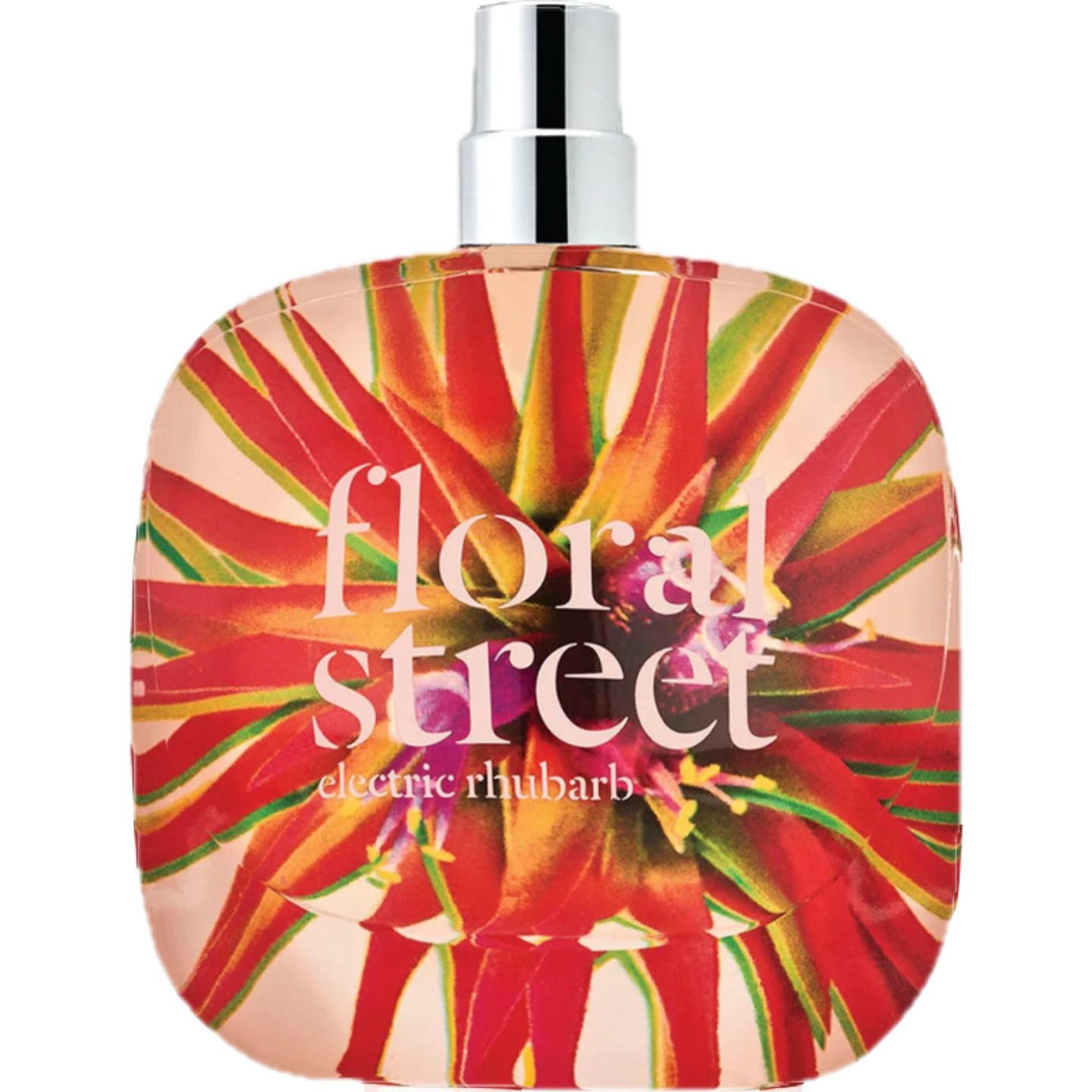 Electric Rhubarb by Floral Street