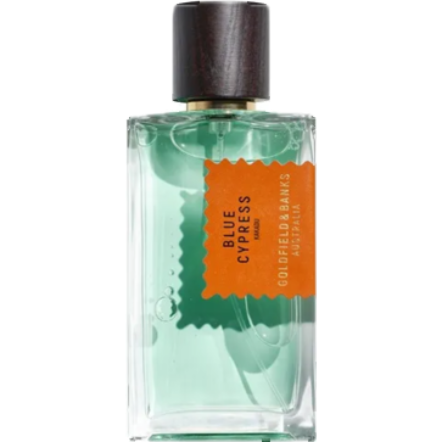 Blue Cypress by Goldfield & Banks Australia