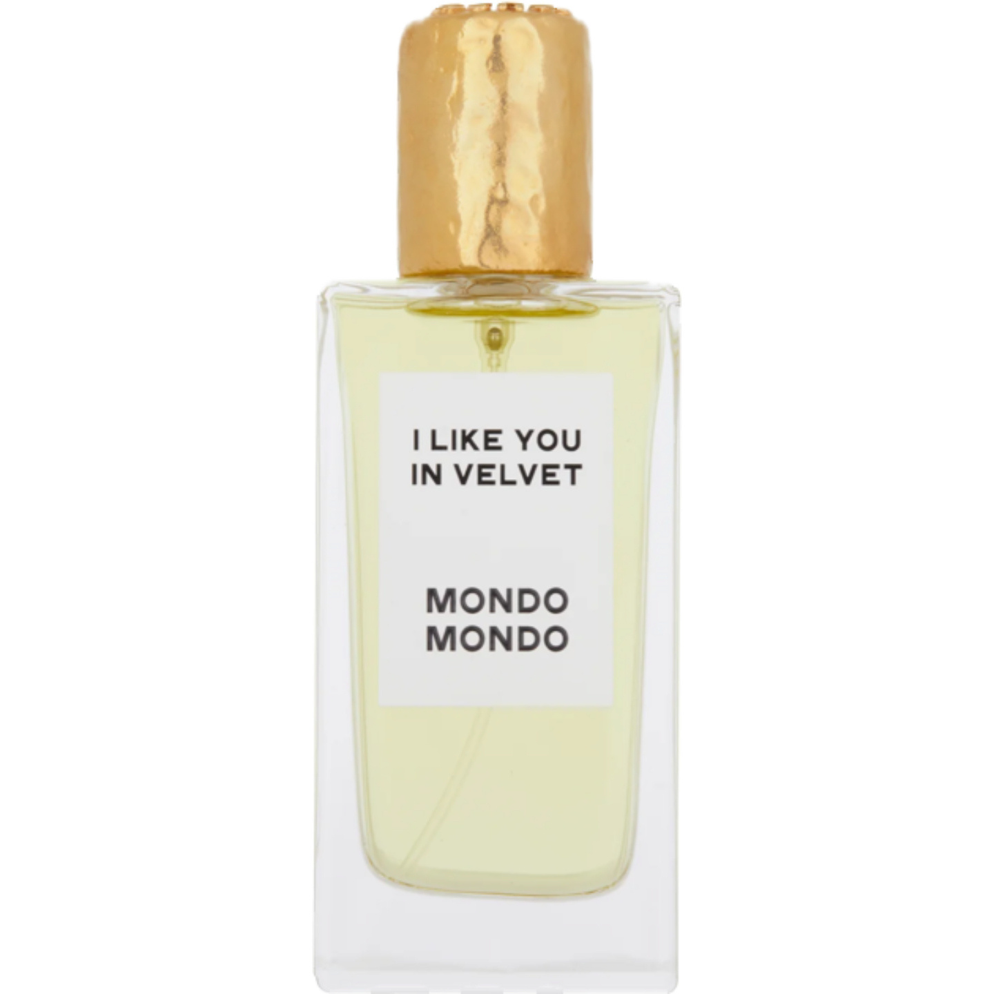 I Like You In Velvet by Mondo mondo