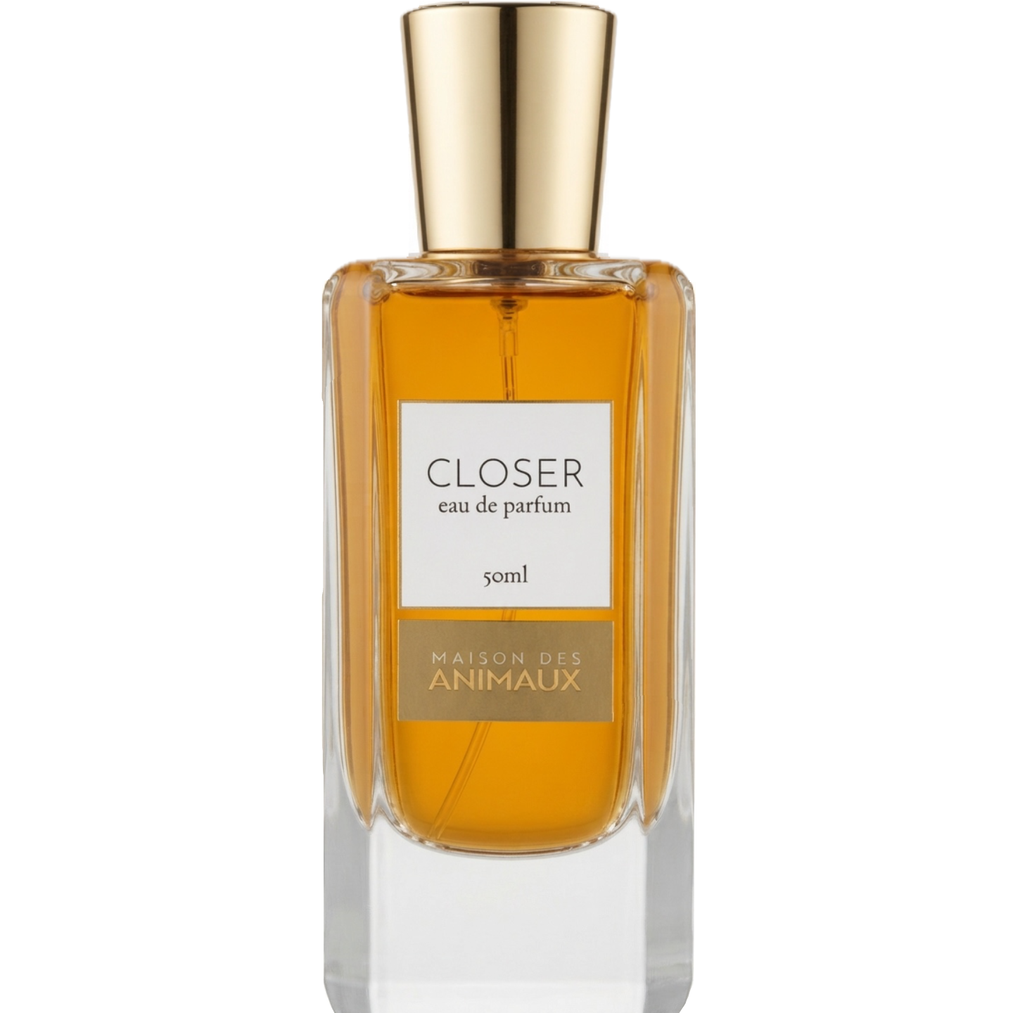 Closer by Maison des Animaux