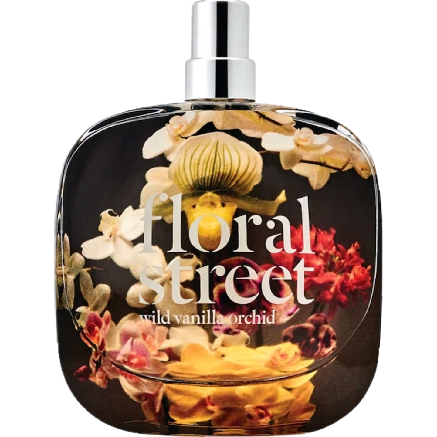 Wild Vanilla Orchid by Floral Street