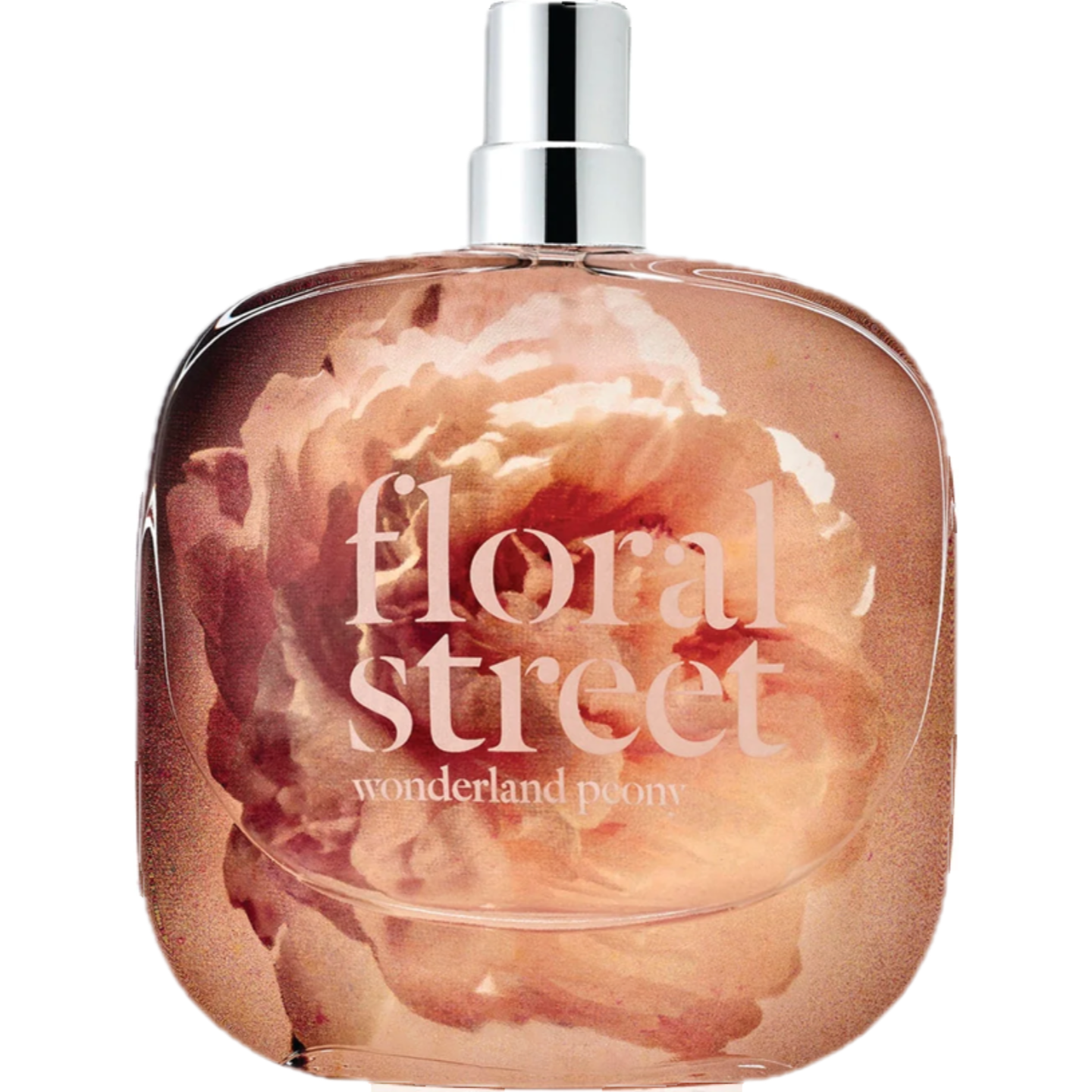 Wonderland Peony by Floral Street