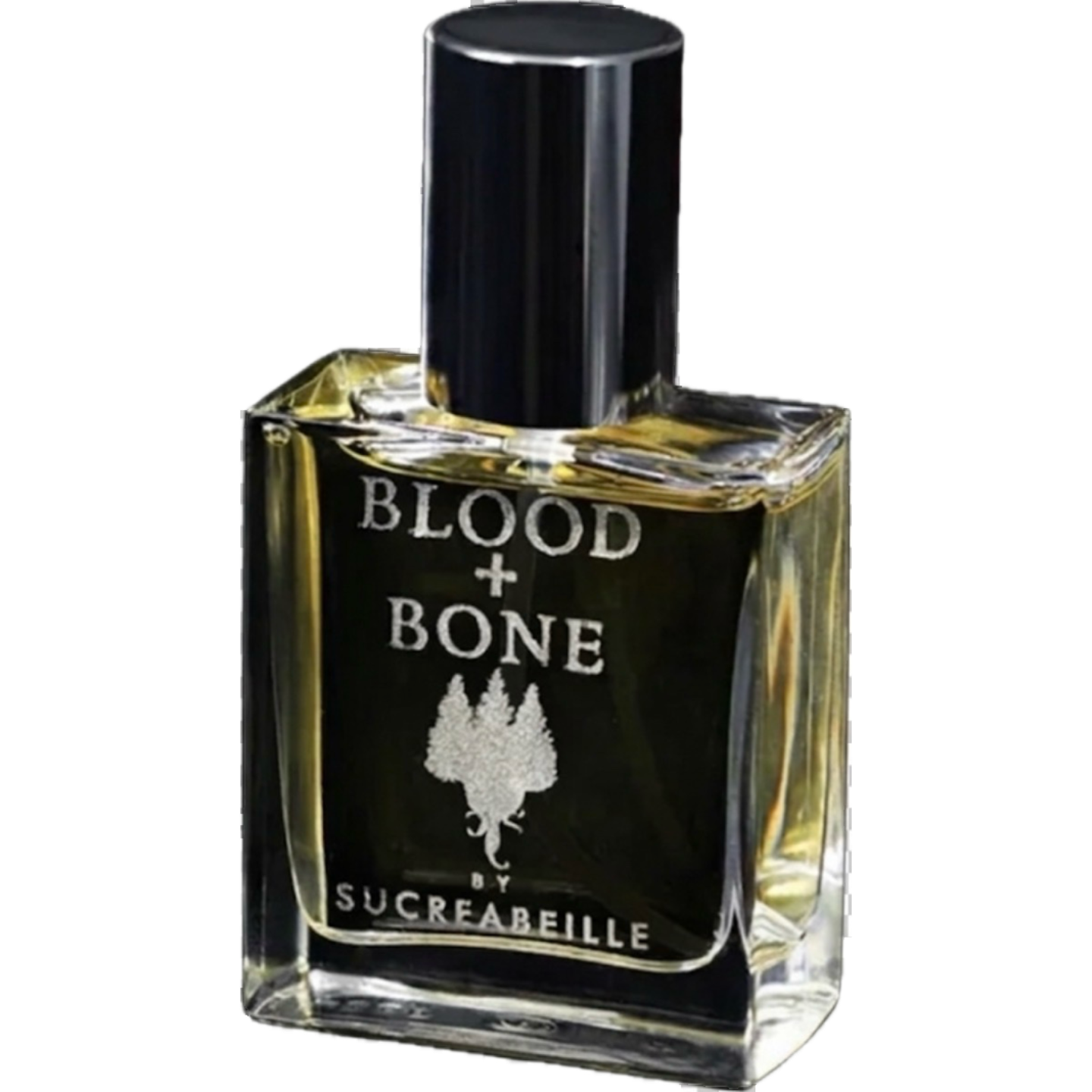 Blood and Bone, with Old Gods of Appalachia by Sucreabeille