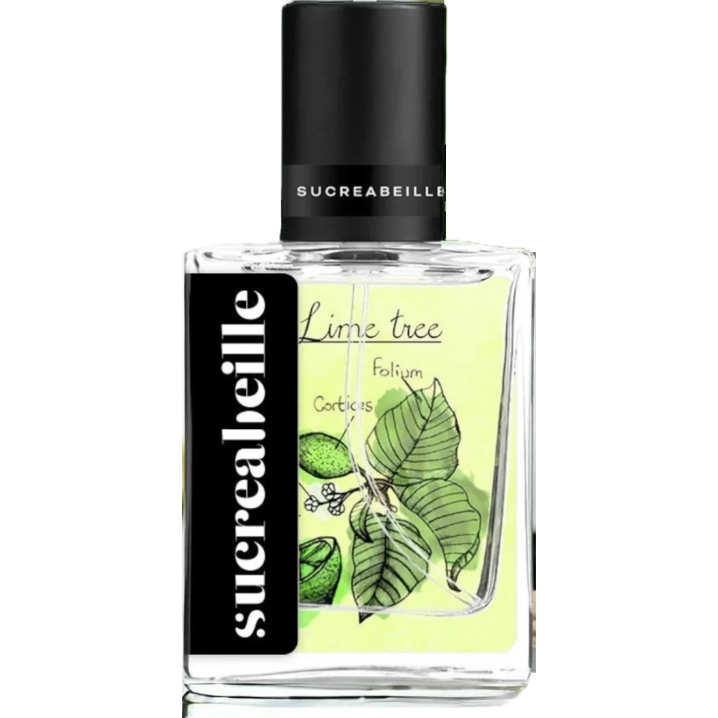 Lime Tree by Sucreabeille
