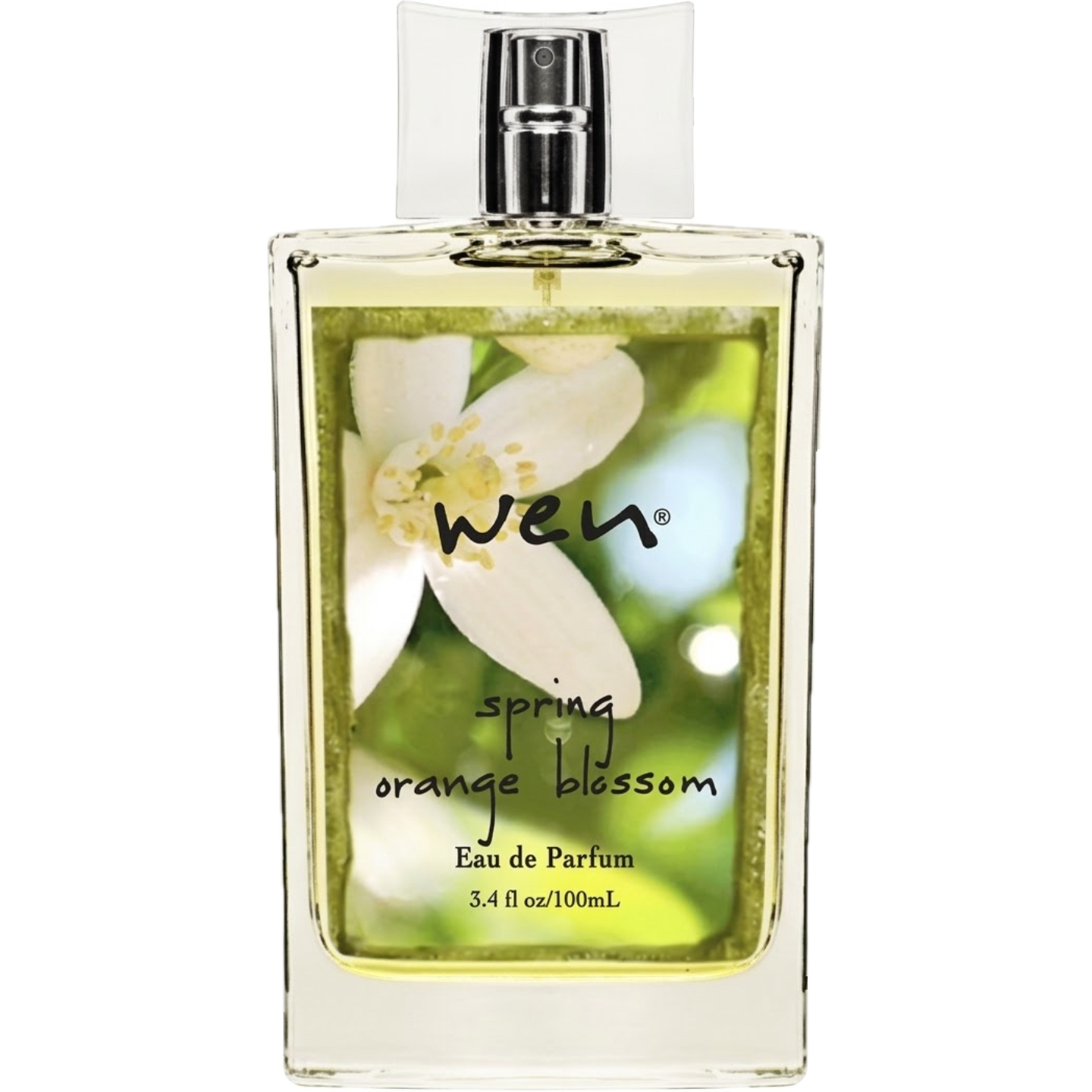 Spring Orange Blossom by Wen