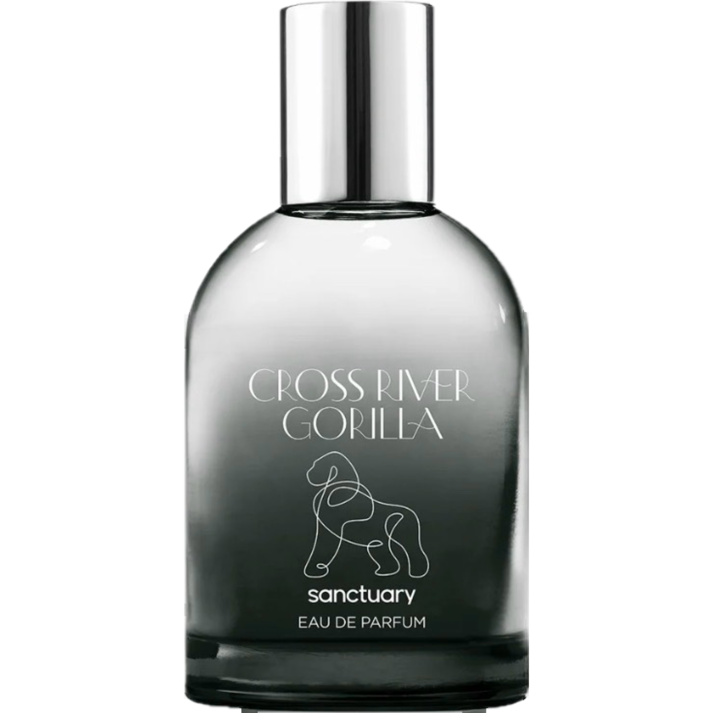 Cross River Gorilla by Sanctuary