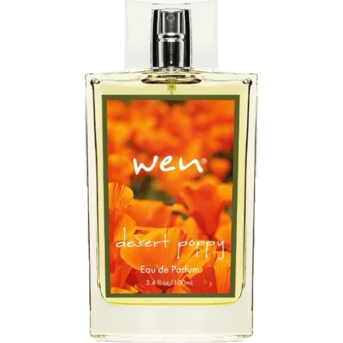 Desert Poppy by Wen