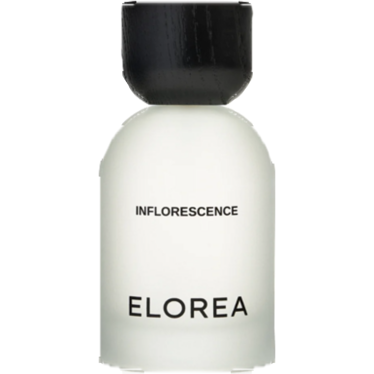 Inflorescence by Elorea