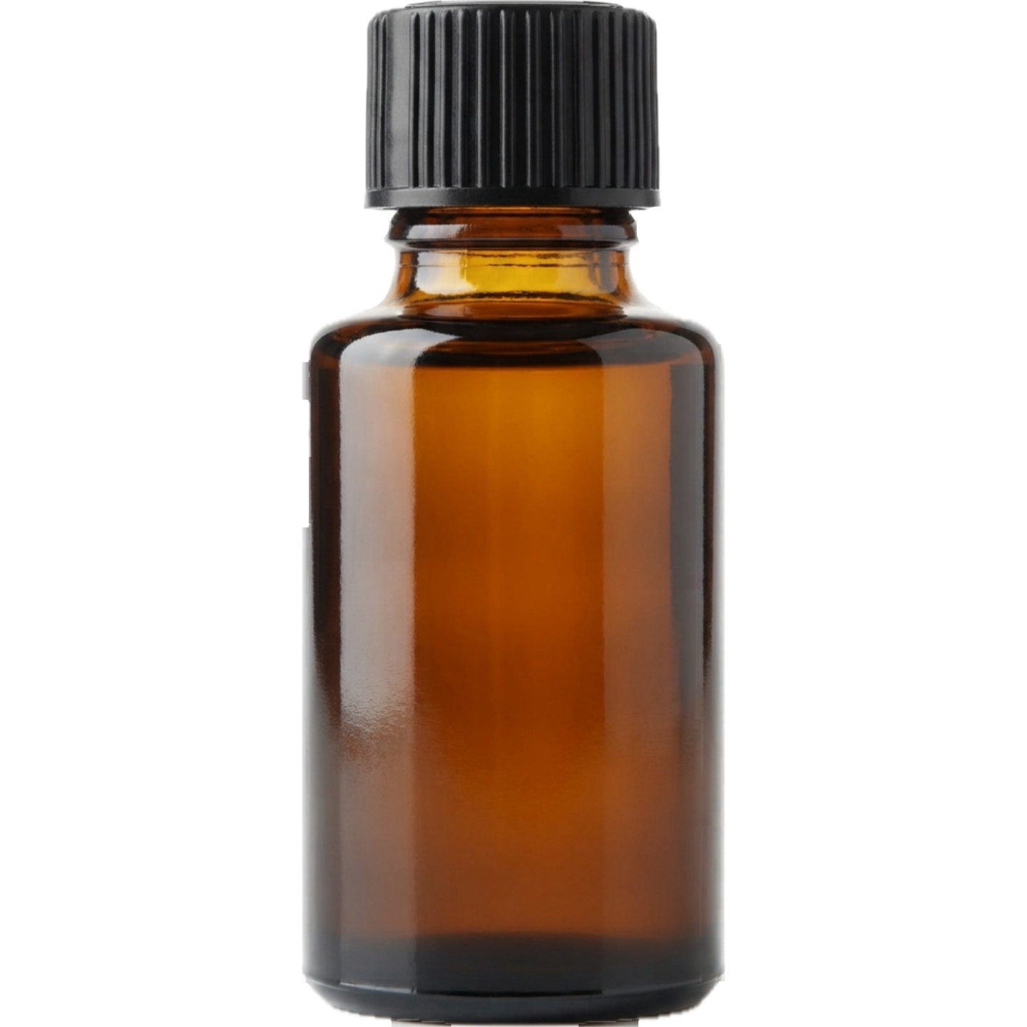 Ghost Horse by Amorphous Perfume