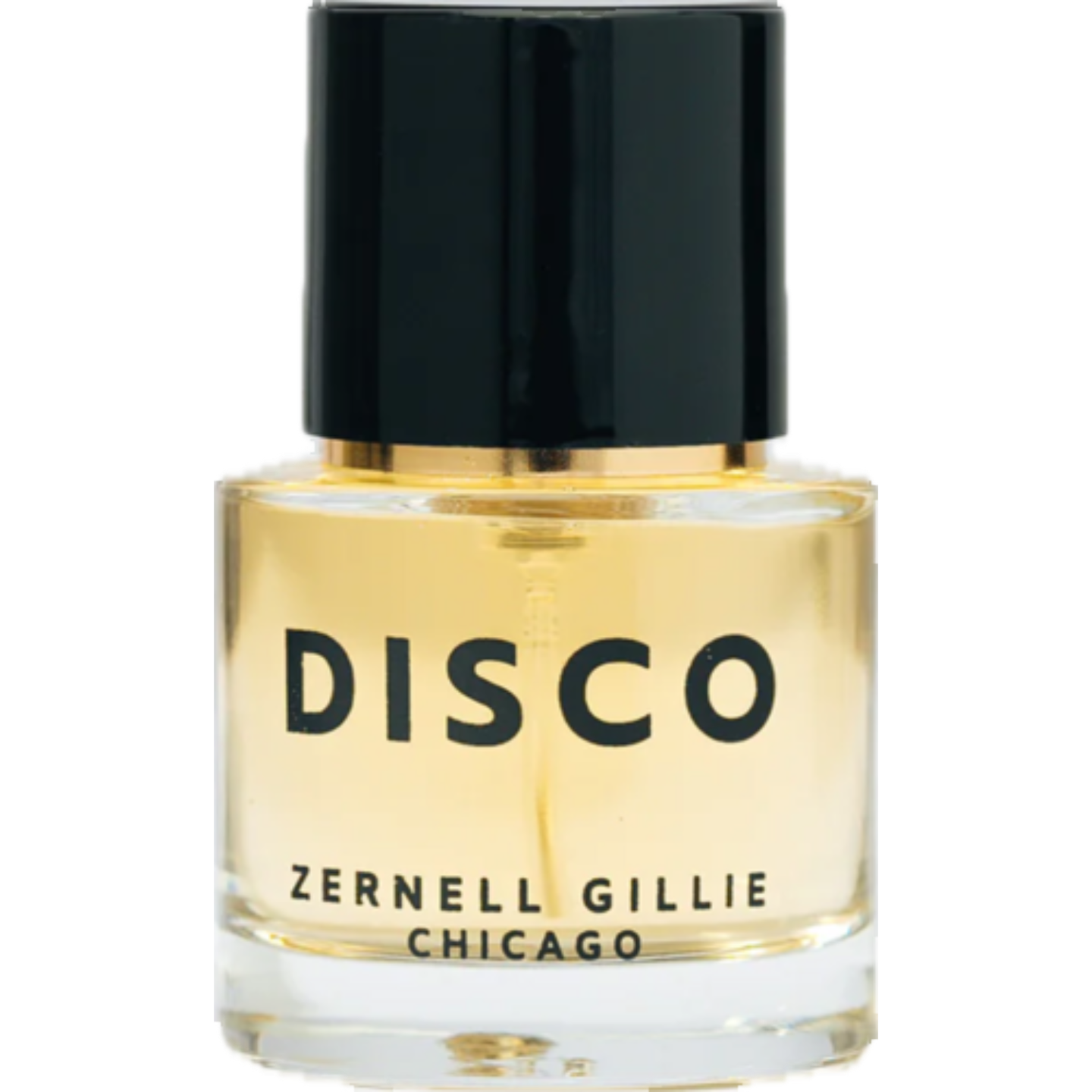 Disco by Zernell Gillie