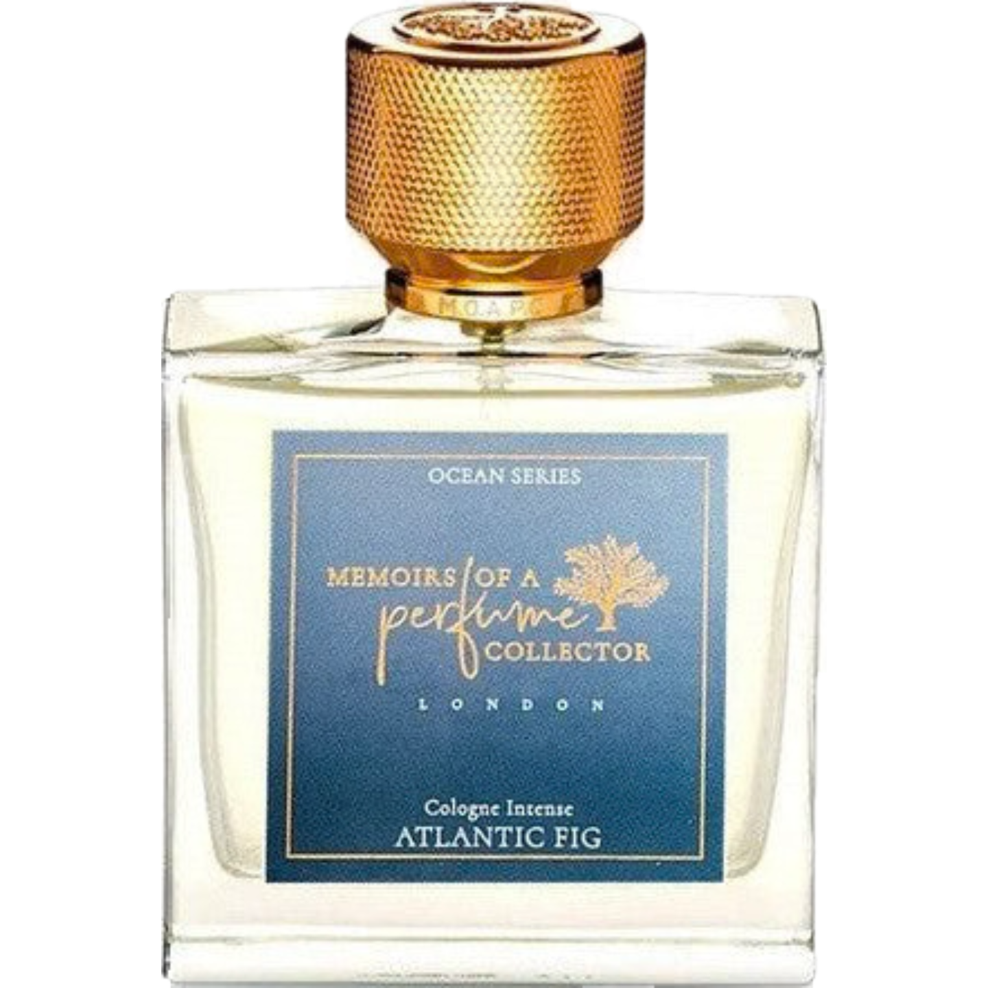 Atlantic Fig by Memoirs of a Perfume Collector