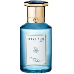 Atropa Belladonna by Shay Blue London