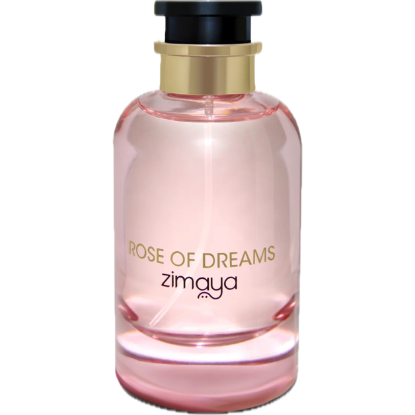 rose of dreams by Zimaya
