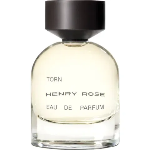 Torn by Henry Rose