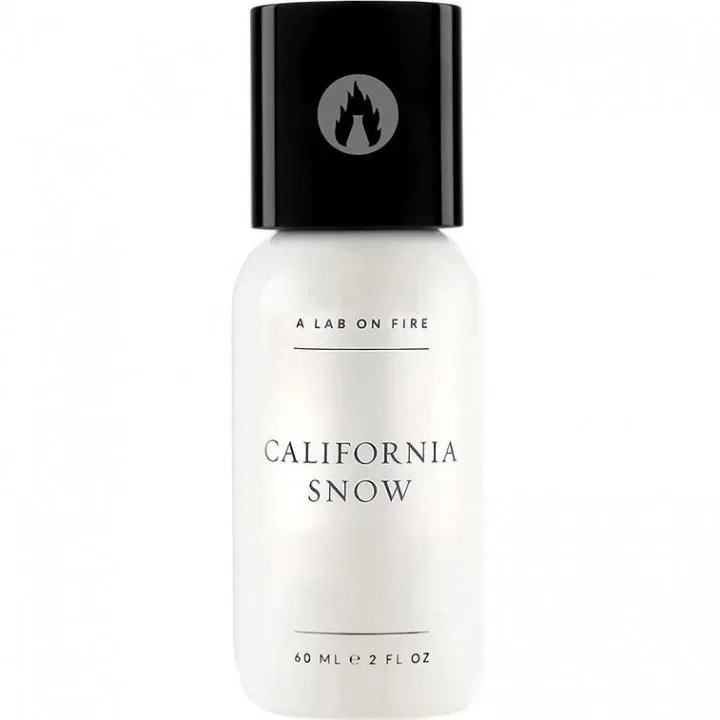 California Snow by A Lab on Fire / What we do is secret