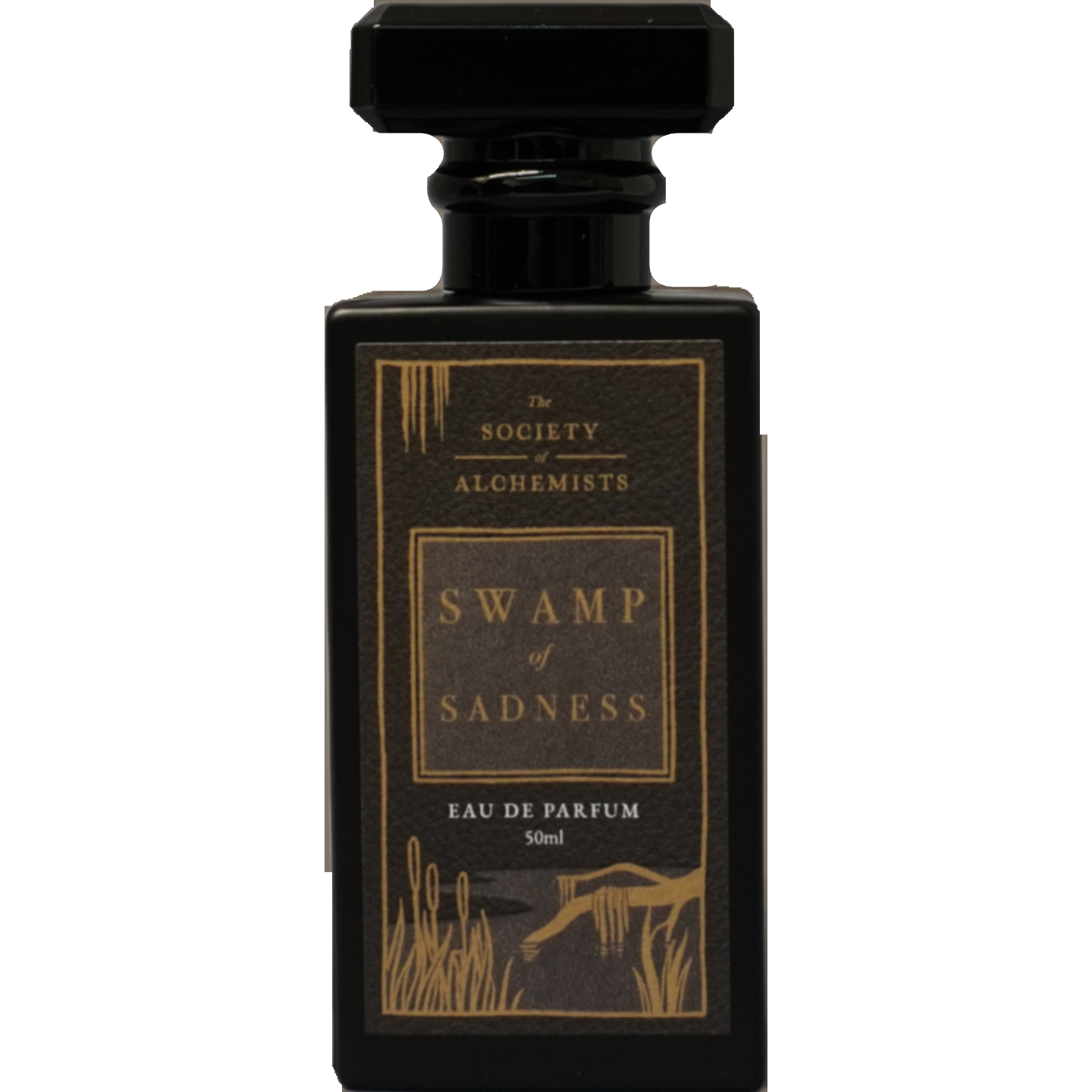 Swamp of Sadness by The Society of Alchemists
