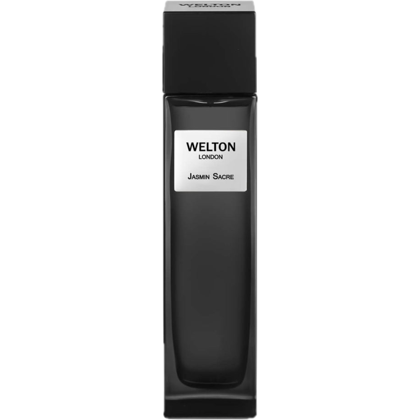 Jasmin Sacre by Welton London
