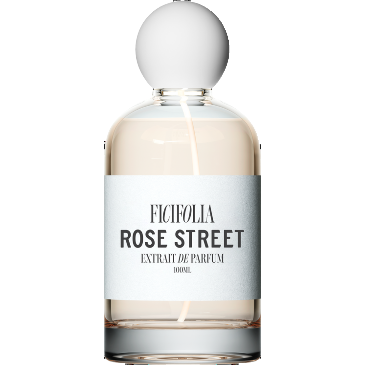 Rose Street by Ficifolia