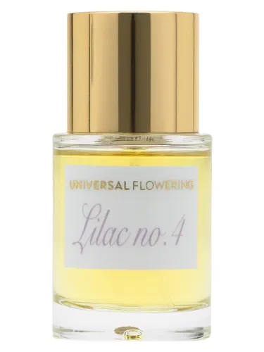 Lilac No.4 by Universal Flowering