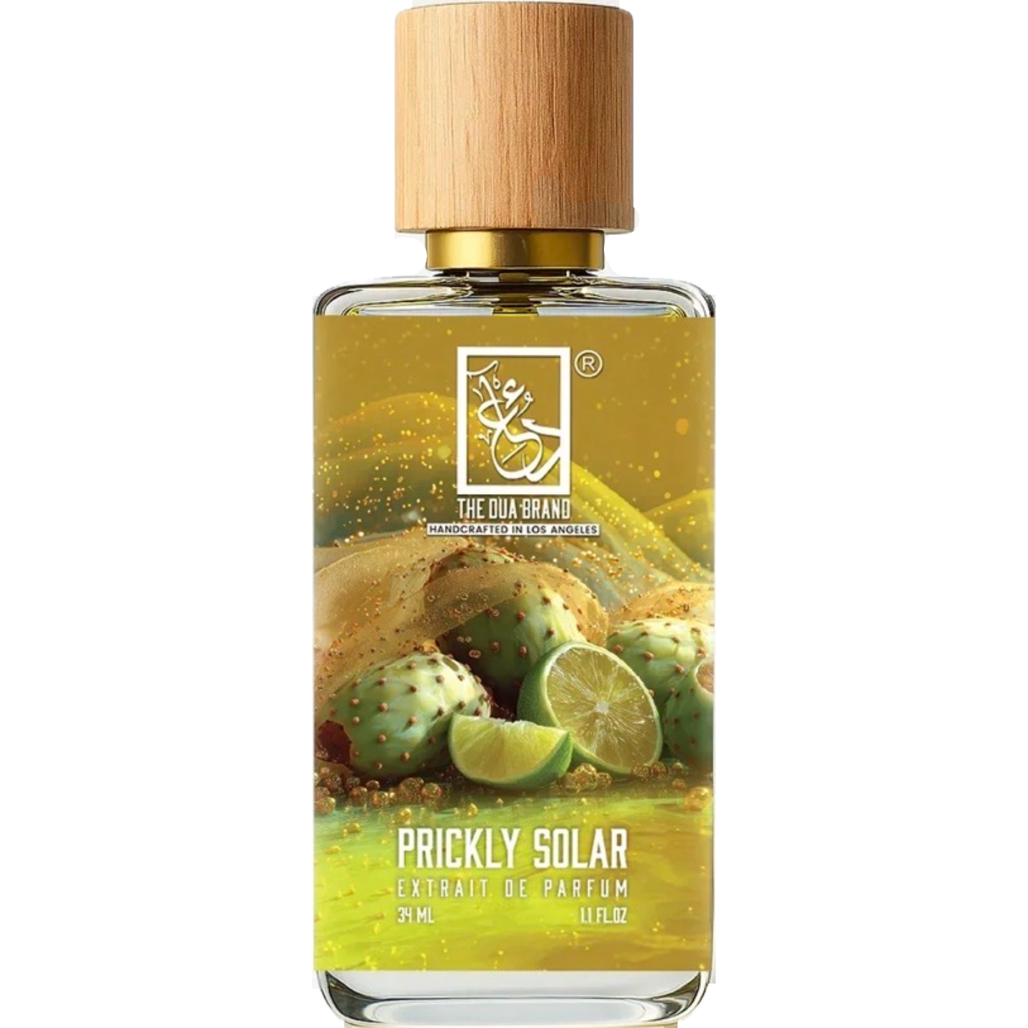 Prickly Solar by The Dua Brand