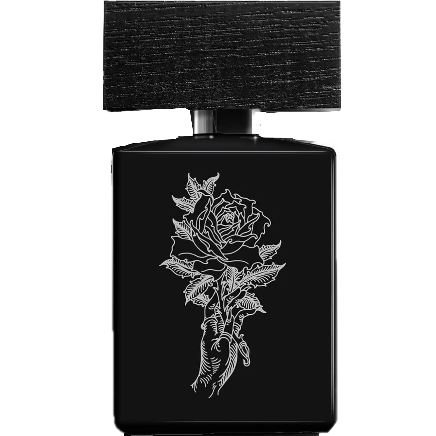 Acrasia by BeauFort London
