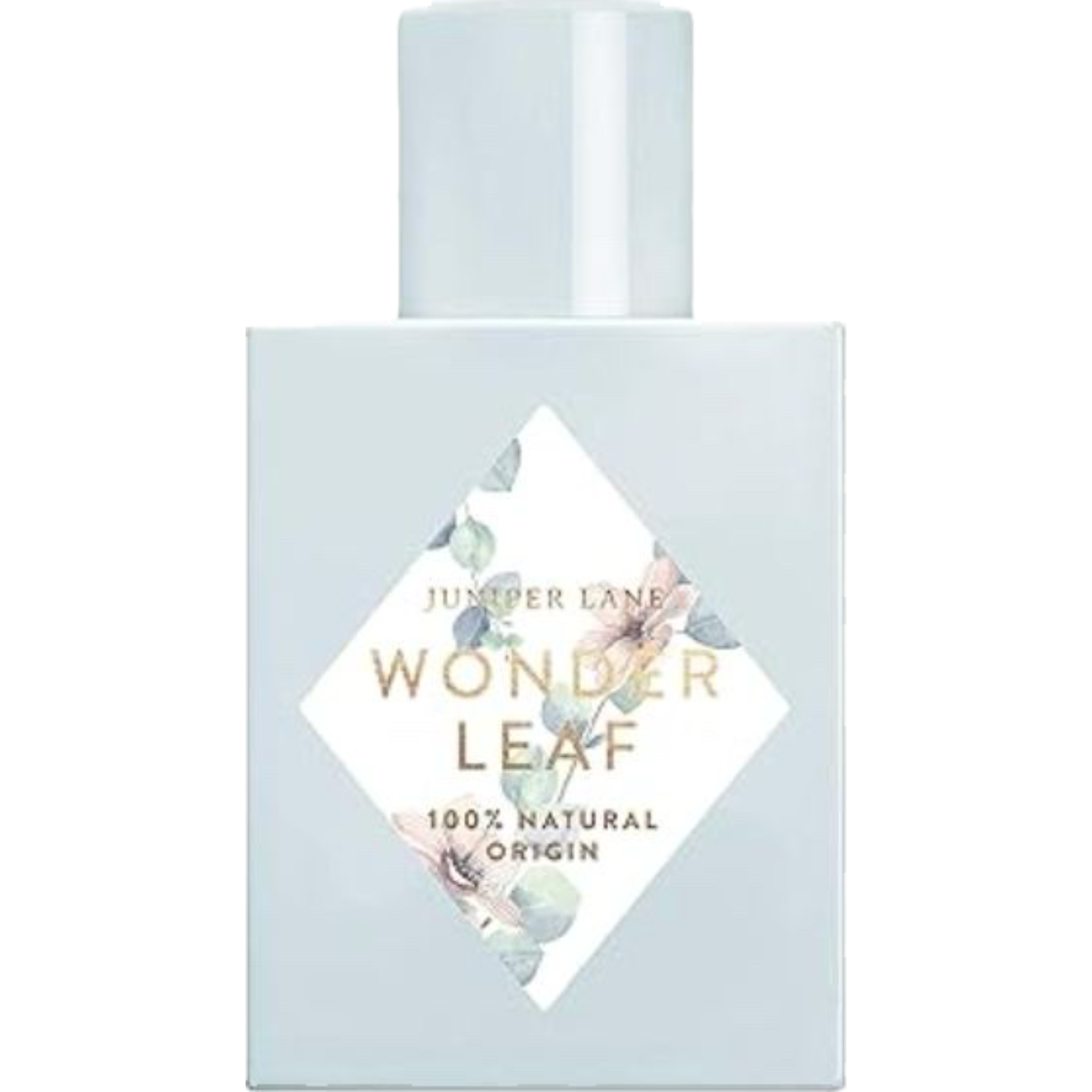 Wonder Leaf by Nature Blossom