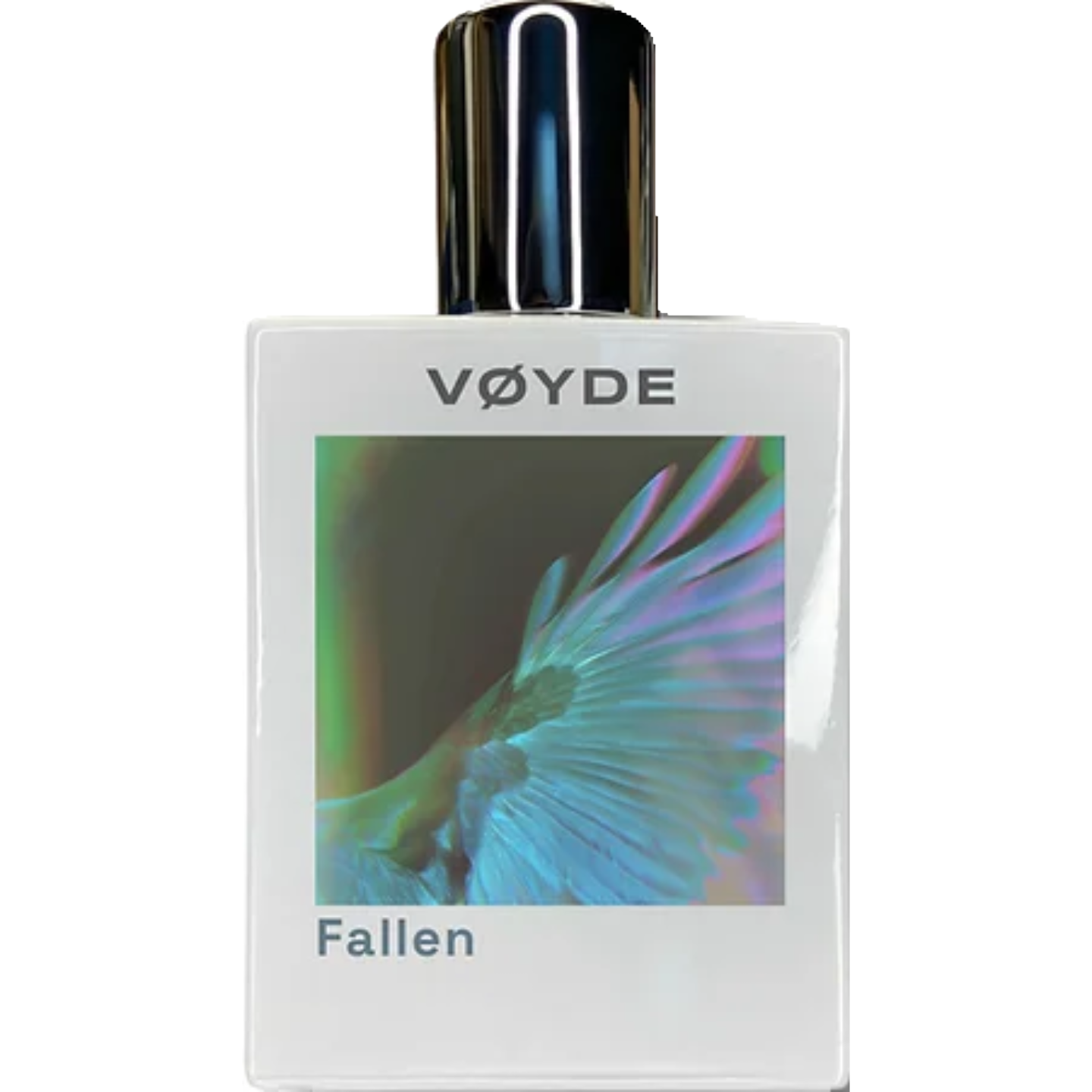 Fallen by Vøyde
