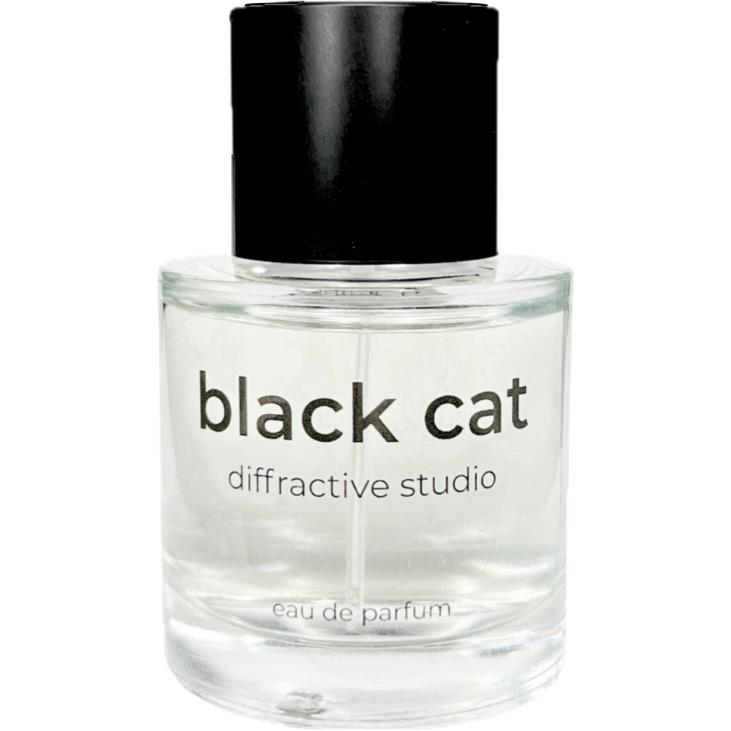 Black Cat by Diffractive Studio