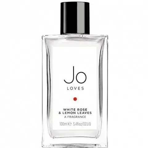 White Rose & Lemon Leaves by Jo Loves