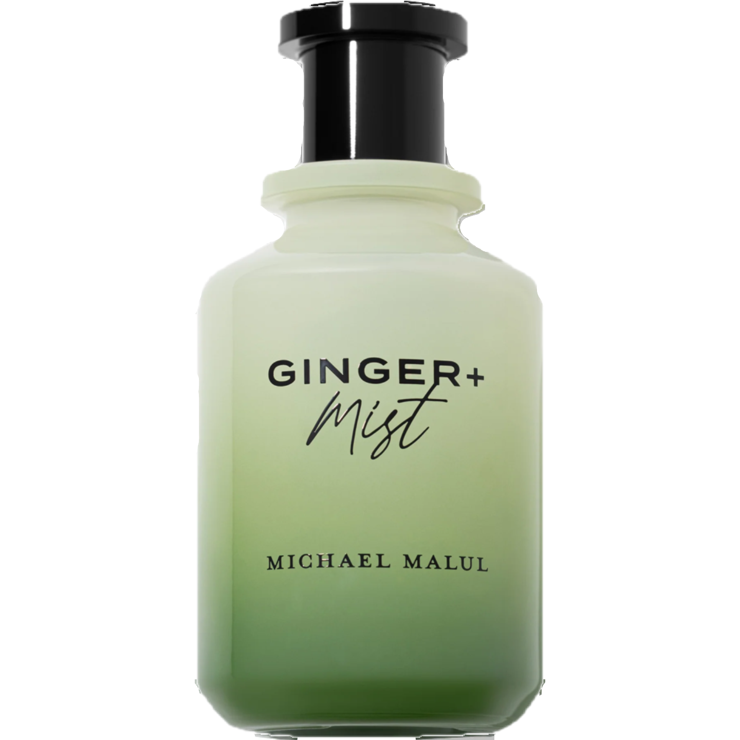 Ginger+Mist by Michael Malul