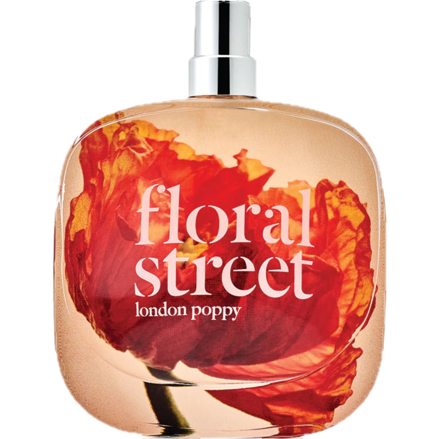 London Poppy by Floral Street