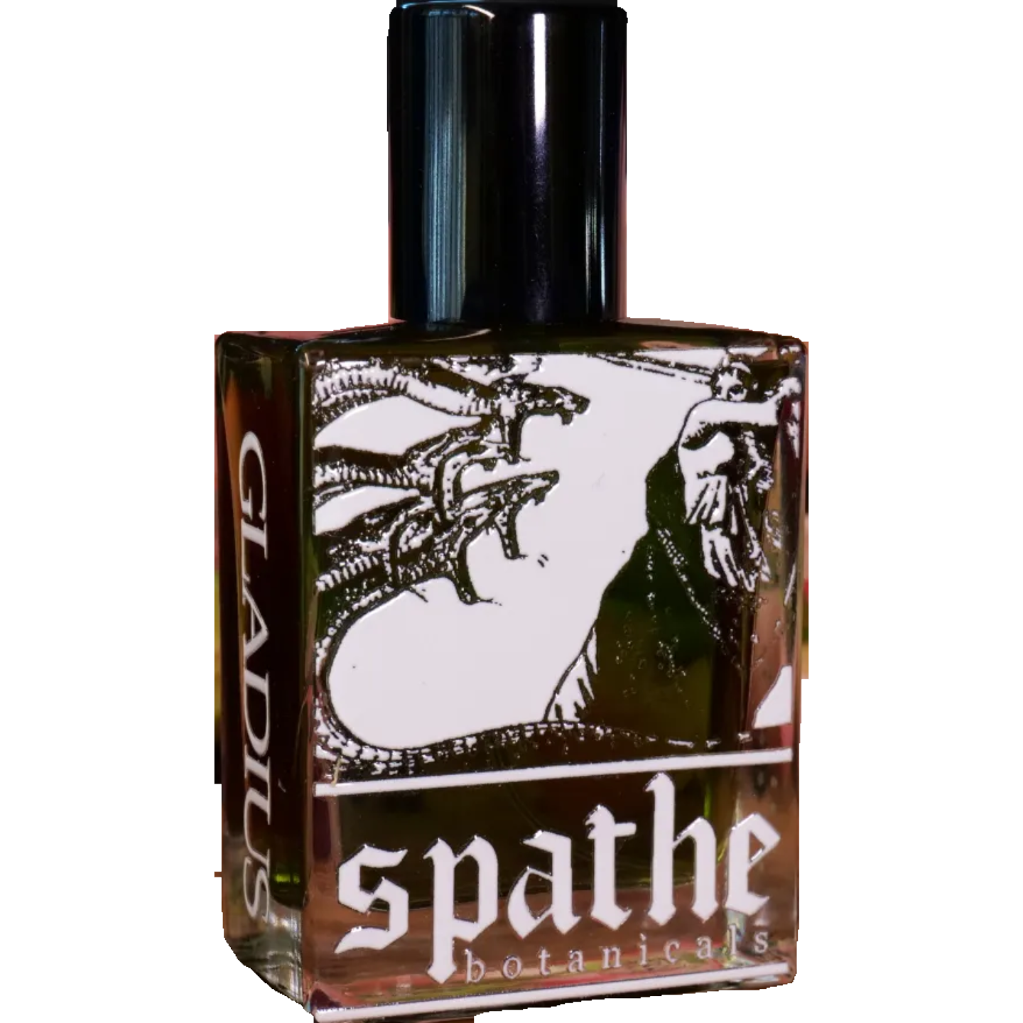 Gladius by Spathe Botanicals
