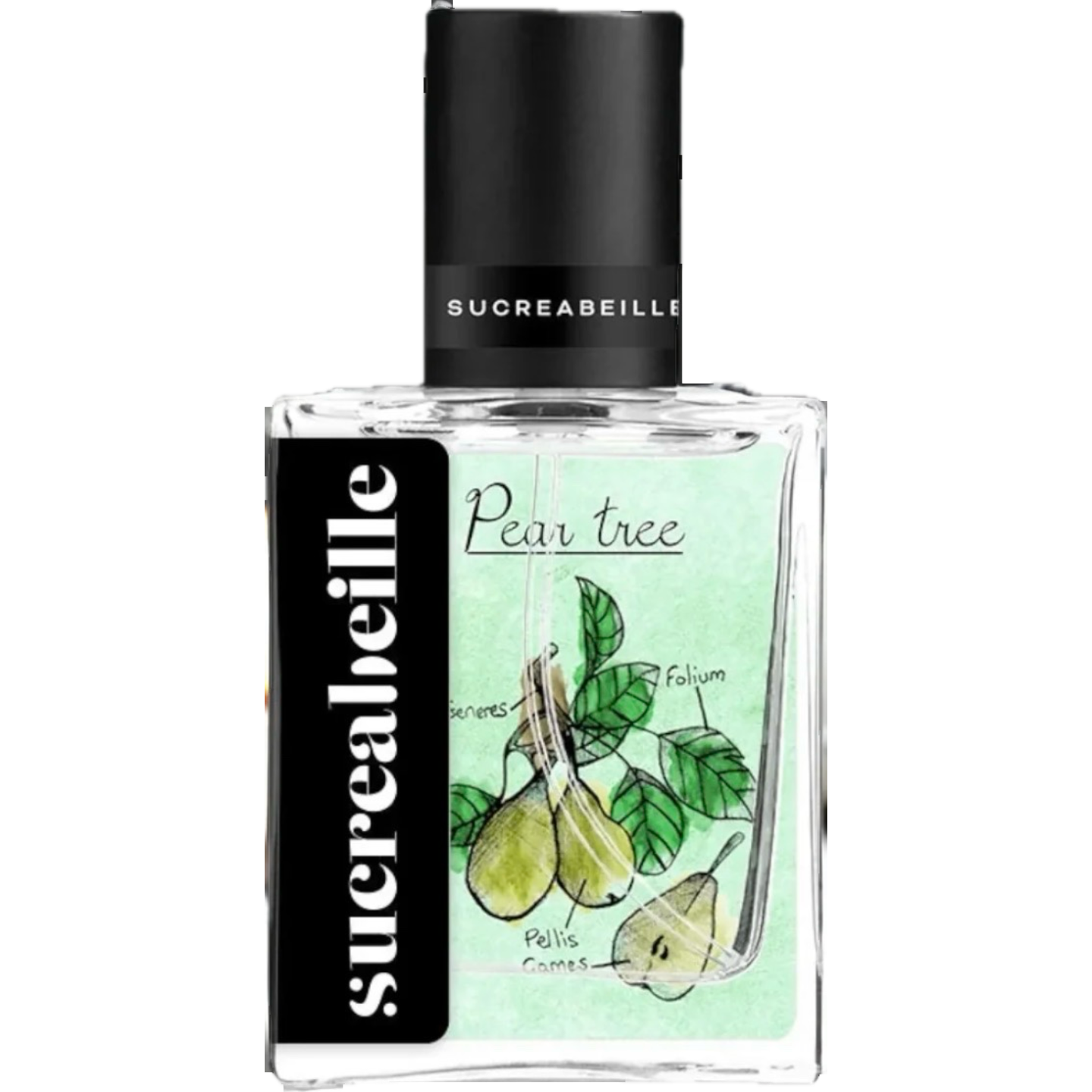 Pear Tree by Sucreabeille